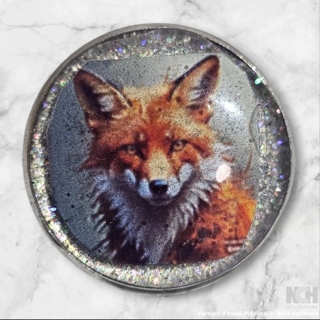 Pin's renard